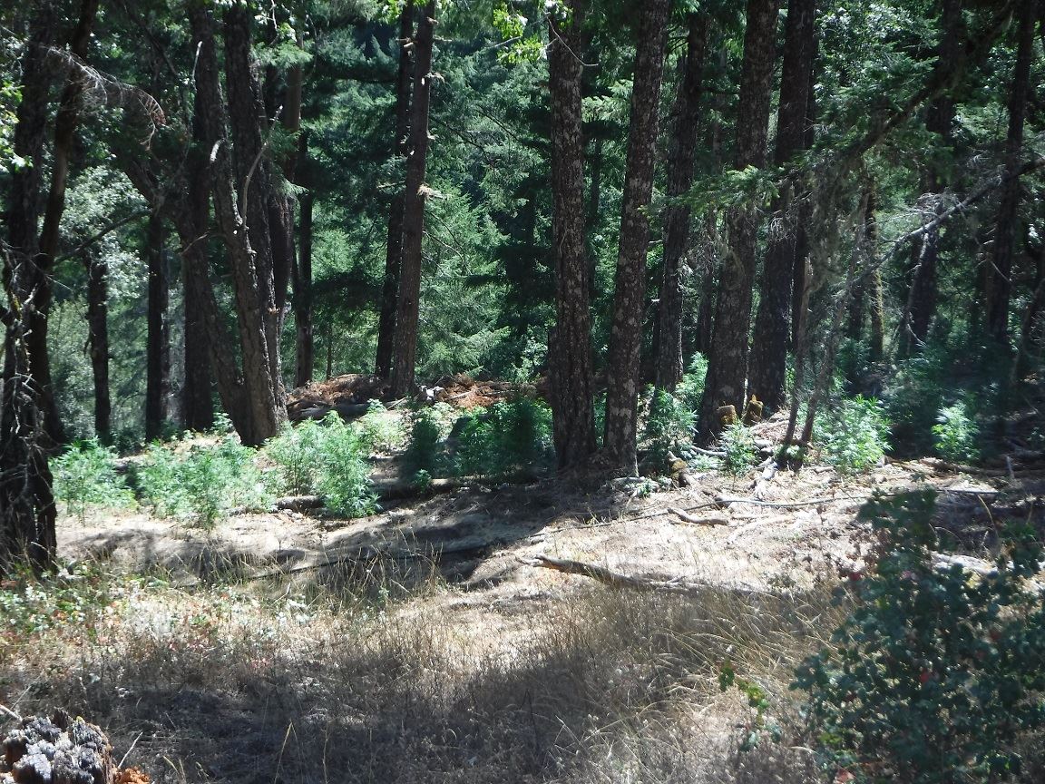 Search Warrant - Case 201603973